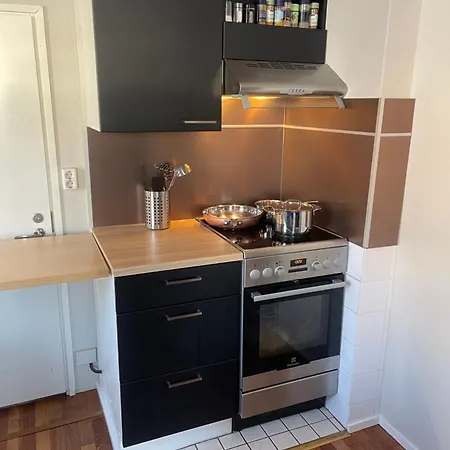 Idyllinen Puutaloasunto Vasa